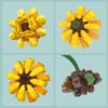 Sunflower Photo Frame Building Blocks Set