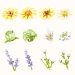 Morandi's Summer Building Blocks Set - Image 5