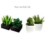 Succulent Plant Building Block Set - Image 6