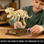Xbert T-Rex Dinosaur Fossil Building Sets, Dinosaur Skeleton with Movable Joints, Tyrannosaurus Rex Desktop Decor Collectible, Dino Educational STEM Toys, Ideal Gift for Boys & Dinosaur Lovers - Image 4